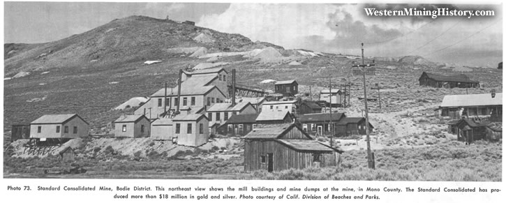 Standard Consolidated Mine, Bodie District