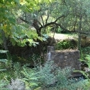 Signs of the past - Mariposa