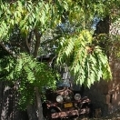 Mokelumne Hill California