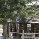 Antique Cabin - Gold Hill
