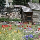 Silver Plume Colorado