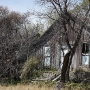 Pinos Altos New Mexico
