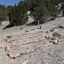 Cemetery - Kelly New Mexico