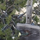Cemetery - Kelly New Mexico