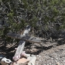 Cemetery - Kelly New Mexico