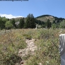 Cemetery - Silver City