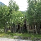 Aspens taking back the land - Rico