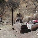 Harshaw Cemetery