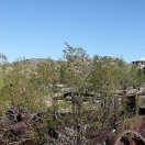 Vulture City