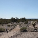 Vulture City Cemetery