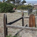 Austin Cemetery