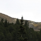 Mary Murphy Mine