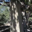 Aurora Cemetery