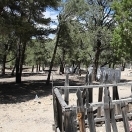 Cemetery - Belmont Nevada