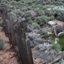 Mill Remains - Belmont Nevada