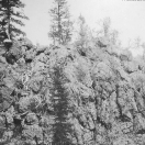 Bonanza Mine