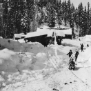Children Sledding - Cornucopia