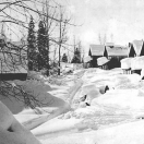 Cornucopia in Winter