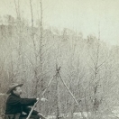 A deer hunt near Deadwood in winter '87 and '88