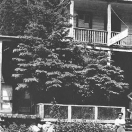 Hotel Lincoln - Cornucopia