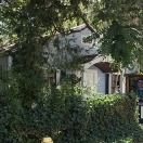 Murphys California