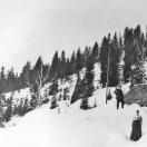 Snow up to roof - Cornucopia