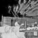 Steam Laundry - Sumpter
