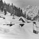 Snow Covered Houses - Cornucopia