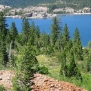 Yellow Metal Mine